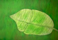 Green leaf 80X100 oil (1)